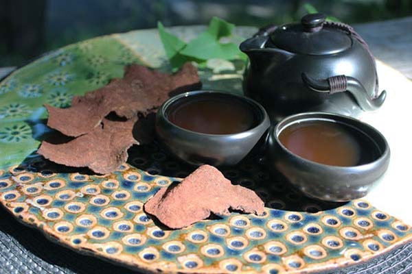 Hà Thủ Ô – Bí Quyết Dân Gian Cho Mái Tóc Đen Chắc Khỏe, Suôn Mượt