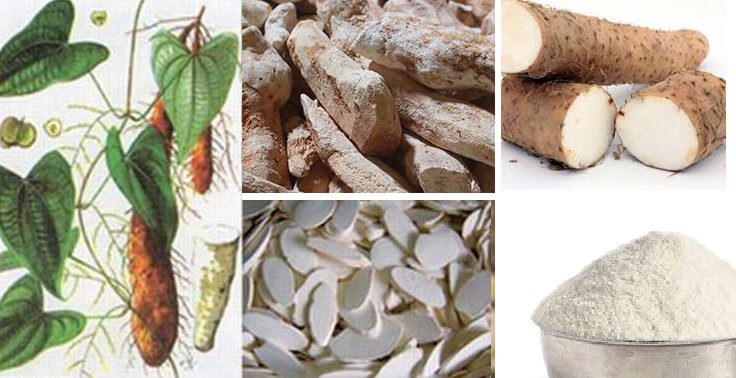 Bột Hoài Sơn – Giải pháp dinh dưỡng cho người suy nhược
